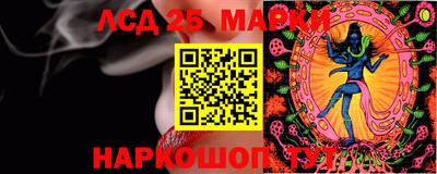 гидропоника Владимир