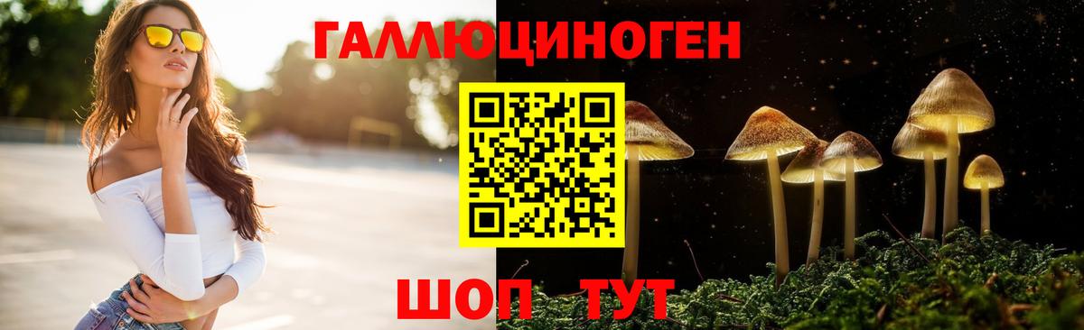 Галлюциногенные грибы MAGIC MUSHROOMS  Вход с VPN  Зеленодольск 